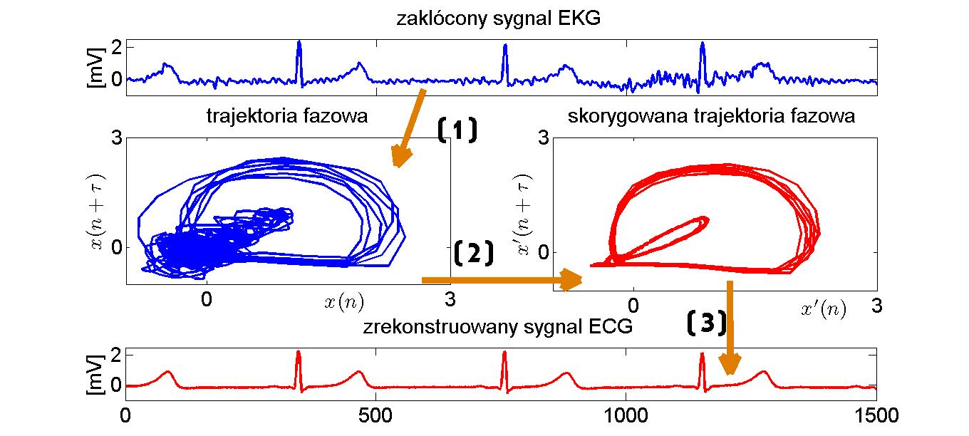 fig1b 2